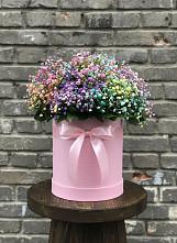 Цветочная композиция из Гипсофила и Розы в шляпной коробке в Надежде