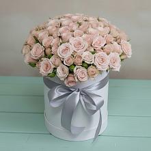 Цветочная композиция из Розы в шляпной коробке #REPLACE_PRED# Надежде