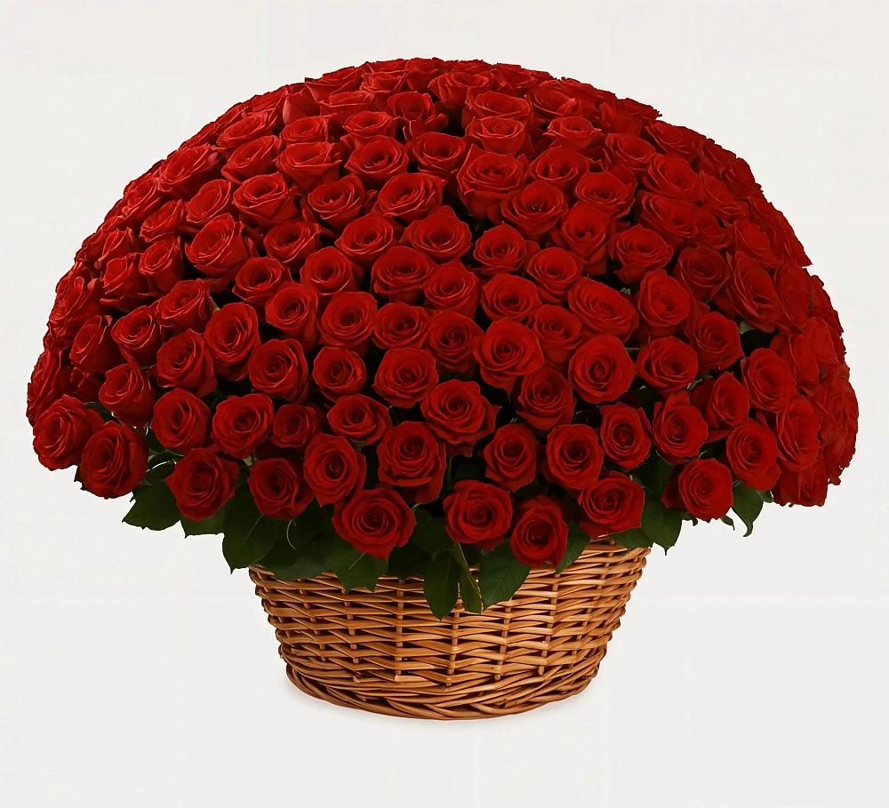 Премиум букет из: Розы в Надежде