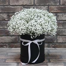 Цветочная композиция из Гипсофила в шляпной коробке в Надежде